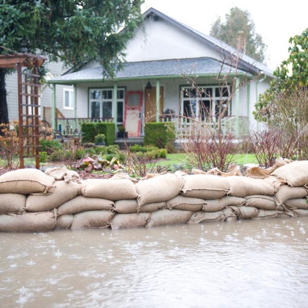 The Northwest Is The Region Where Our Clients Need Us The Most Because Of The High Amounts Of Precipitation That Puts Many Parts Of The Land At Risk Of Erosion.